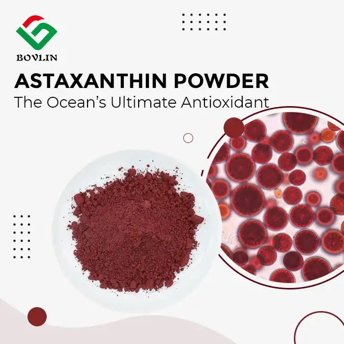 Natural Astaxanthin Powder